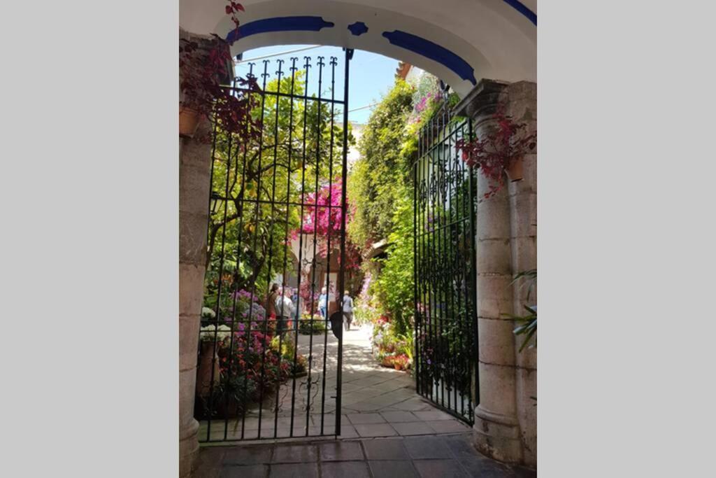 Apartamento San Pedro-Corredera Córdoba Exteriör bild
