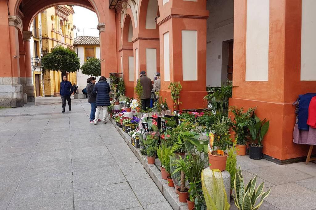 Apartamento San Pedro-Corredera Córdoba Exteriör bild
