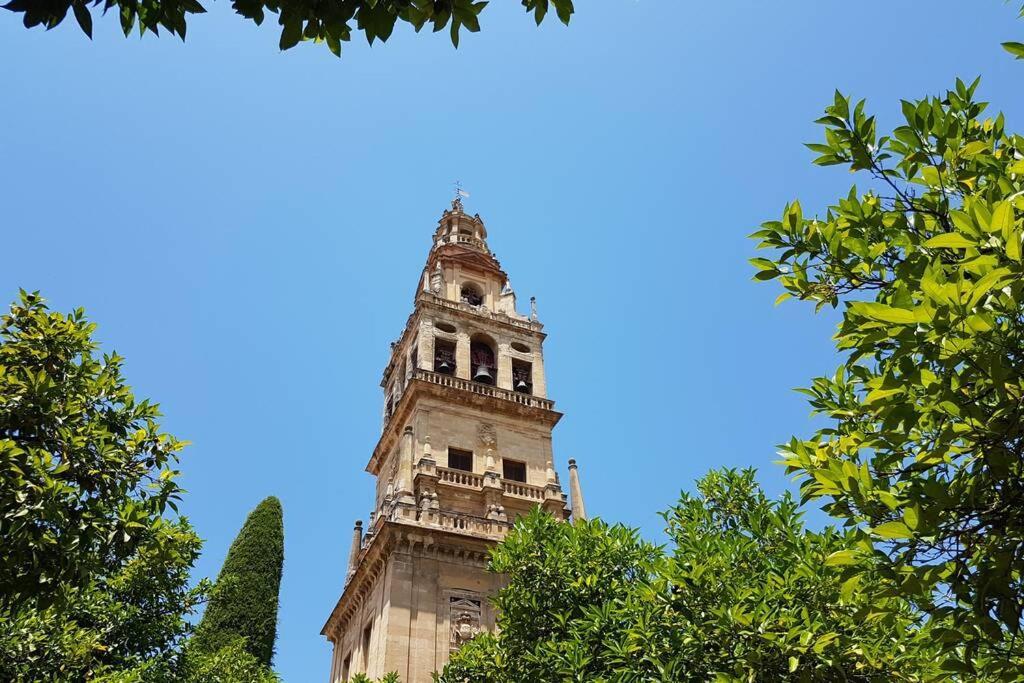 Apartamento San Pedro-Corredera Córdoba Exteriör bild